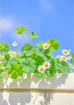 Uka🐶の雑談部屋