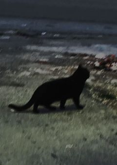 【QK】【短編集】どんな結末でも