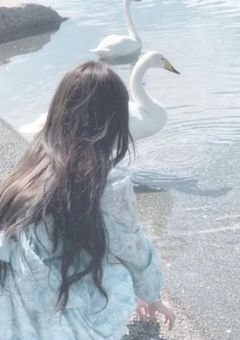 　♥　𝐅𝐀𝐊𝐄 𝐋𝐎𝐕𝐄　.