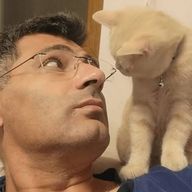 まっけんろ（糸目愛好家）さんのアイコン画像