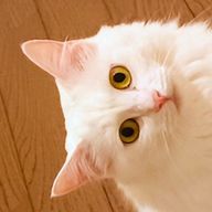 りんごさんのアイコン画像