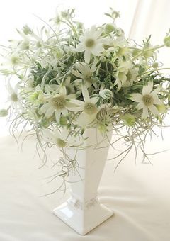 スキズ短編集BL