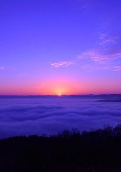 光を求めて───