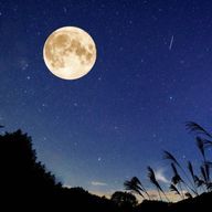 moonight☆さんのアイコン画像