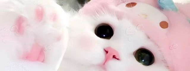 ︎ ︎ ︎︎ ︎ ︎ ︎№冷さんの壁紙画像