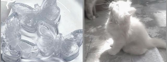 よんそさんの壁紙画像