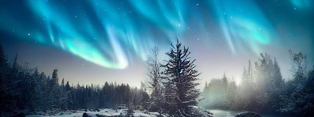 はるさんの壁紙画像