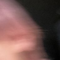 ふさくらさんのアイコン画像