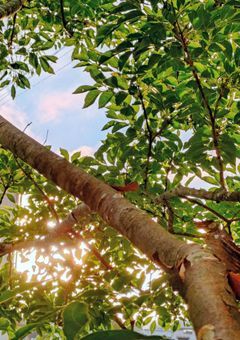 みんなの名前がわからねぇ