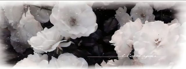 시온さんの壁紙画像