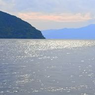 ムリポポさんのアイコン画像