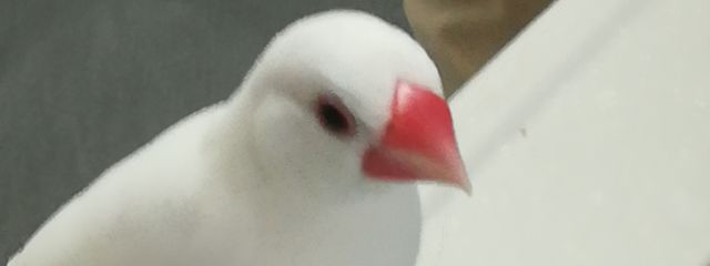 ₺ʓㄘ‎ 🎼さんの壁紙画像