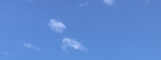 りんごさんの壁紙画像