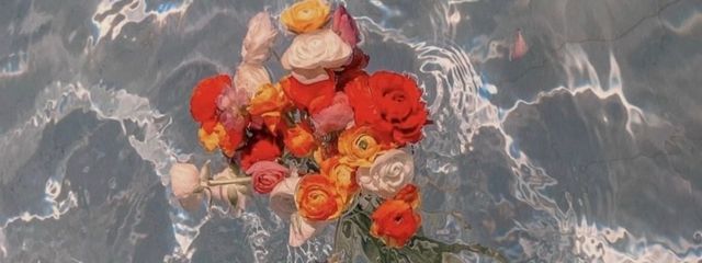Aoiさんの壁紙画像