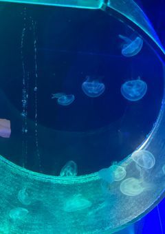 ▷相互専用♡🚪︎💕︎