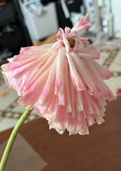 偽りの信頼