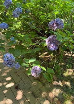 黒へ近づく白銀