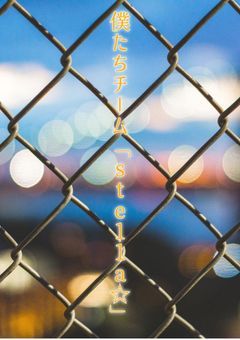 僕たちチーム「ste11a☆」