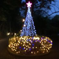 sou 低浮上さんのアイコン画像