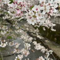 sou 低浮上さんのアイコン画像