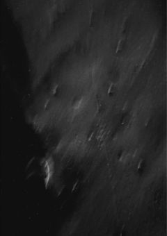 主辛いことやいいことを呟く部屋