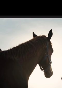 ザ・ロイヤルファミリー