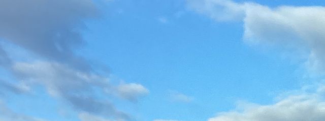 星綺くらげ🪼@交換宣伝募集中（なんでも大丈夫です！）さんの壁紙画像