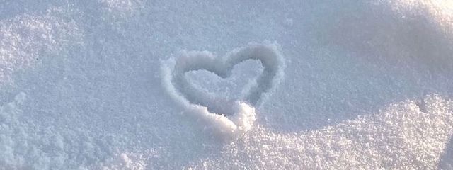  　　❀　無 浮 澄さんの壁紙画像