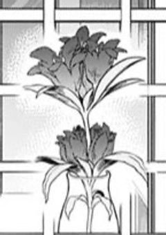 アンタが死んだ暁には