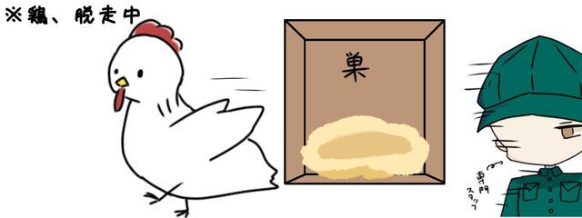 鶏ガラさんの壁紙画像