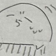 らっこさんのアイコン画像