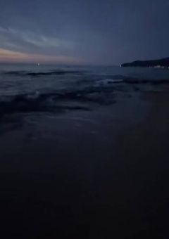 実 写 ち ゃ ん    。  