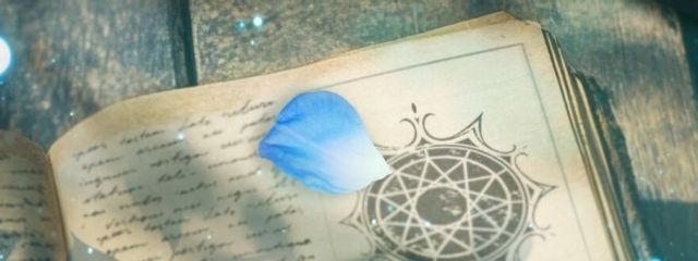 あやは@フォロバ100%する！さんの壁紙画像