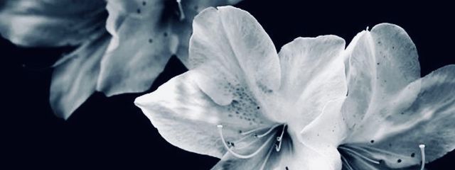 梁*._さんの壁紙画像