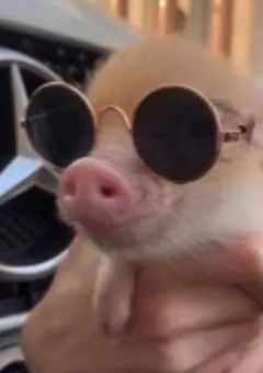 彼女目線カメラ