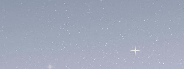 しおんさんの壁紙画像