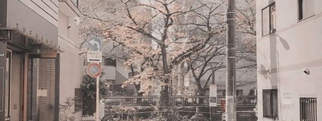   ♥︎︎  𝟬𝟴𝟭𝟱  !!さんの壁紙画像