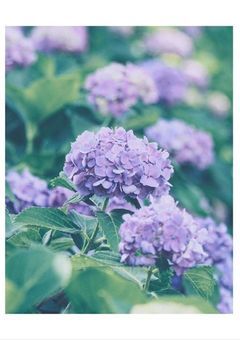 誓 い の 剣 を 捧 げ て 