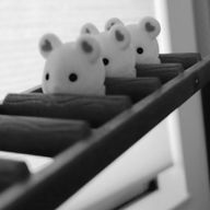 むみゃさんのアイコン画像