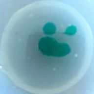 れいれい🌿さんのアイコン画像