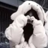 音羽さんのアイコン画像