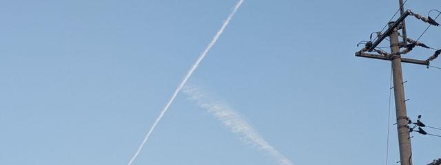 しずさんの壁紙画像