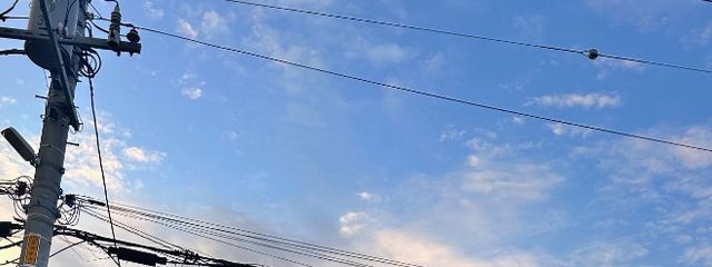 チキンの欠片さんの壁紙画像