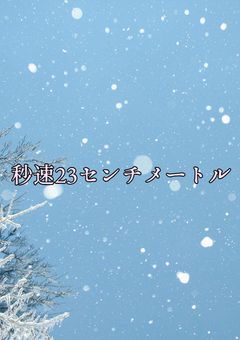 秒速23センチメートル