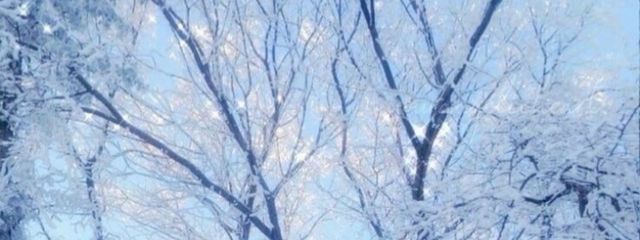 透空🎧🫧さんの壁紙画像