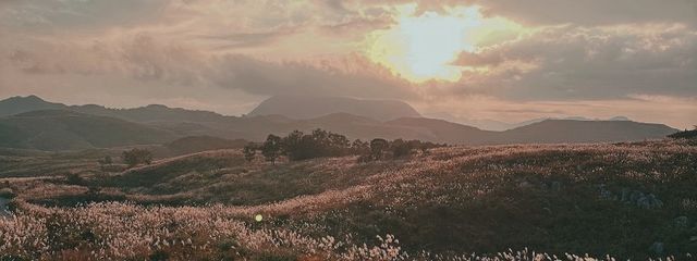 九九さんの壁紙画像