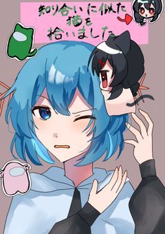 知り合いに似た猫を拾いました