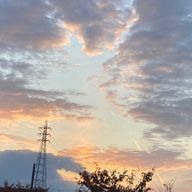 りぽこさんのアイコン画像