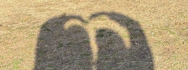 えぬえすさんの壁紙画像