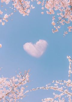 好きぴ日記